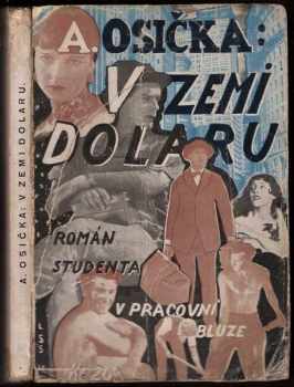 V zemi dolaru : román studenta v pracovní bluse : román studenta v pracovní bluze