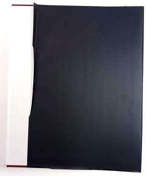 Václav Brožík: Václav Brožík