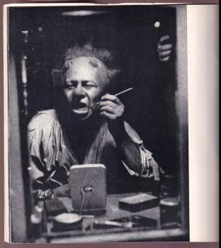 Václav Chochola: Václav Chochola