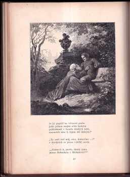 Svatopluk Čech: Václav z Michalovic