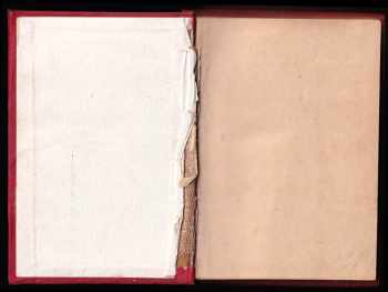 Svatopluk Čech: Václav z Michalovic