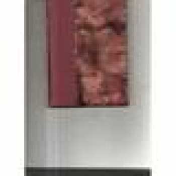 Svatopluk Čech: Václav z Michalovic