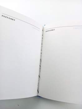 Jan Švihovec: Vademecum zahraničních farmaceutických přípravků registrovaných v ČSFR