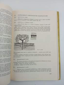 Josef Klír: Vady dřeva