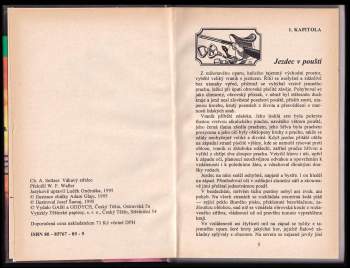 Charles Alden Seltzer: Váhavý střelec