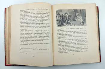 František Sokol Tůma: Valašská světice