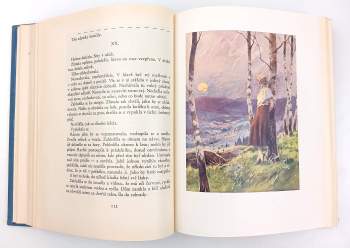 František Sokol Tůma: Valašská světice