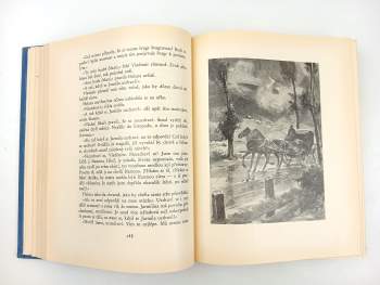 František Sokol Tůma: Valašská světice