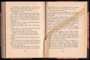 František Sokol Tůma: Valašská světice