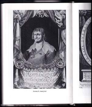 Josef Polišenský: Valdštejn