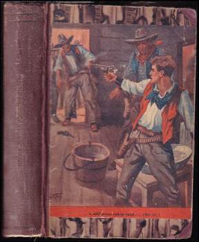 B. M Bower: Tygří oko