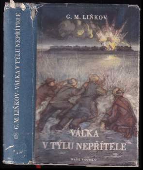 Grigorij Matvejevič Lin'kov: Válka v týlu nepřítele