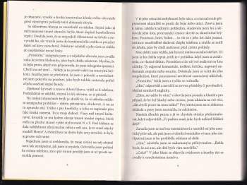 Julie Caplin: Vánoce na Manhattanu