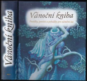 Vánoční kniha