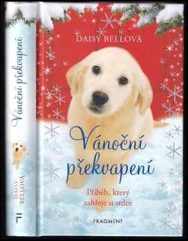 Vánoční překvapení