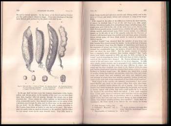 Charles Darwin: Variation Of Animals and Plants Under Domestication Vol. 1+2
