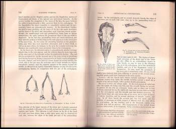 Charles Darwin: Variation Of Animals and Plants Under Domestication Vol. 1+2