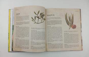 Kateřina Winterová: Vaříme podle Herbáře 4