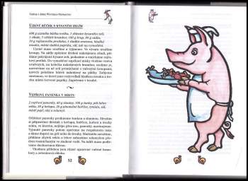 Jaroslav Vašák: Vaříme s Jiřím Wintrem-Nepraktou