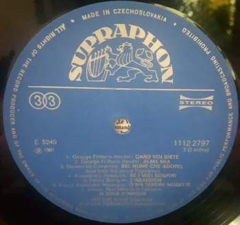 Zuzana Růžičková: Various