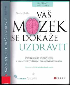 Váš mozek se dokáže uzdravit