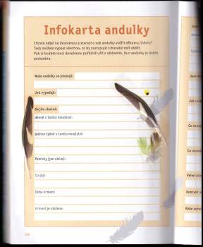 Immanuel Birmelin: Vaše andulka