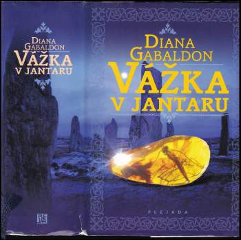 Vážka v jantaru