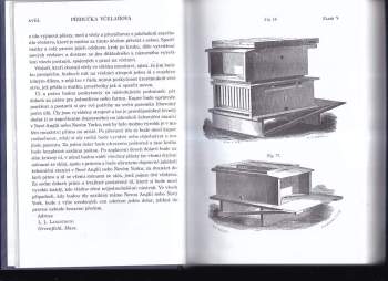 L. L Langstroth: Včela a úl