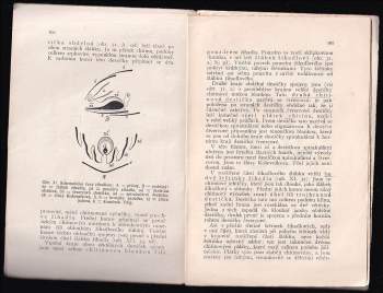 Jaroslav Rytíř: Včela medonosná - Díl 1., - Anatomie včely medonosné - Apis mellifica L. - Popis těla, života, zvyků, nemocí i škůdců včely medonosné - Její plemenitba a chov v době moderní