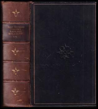 Vdavky Nanynky Kulichovy a co se kolem nich seběhlo