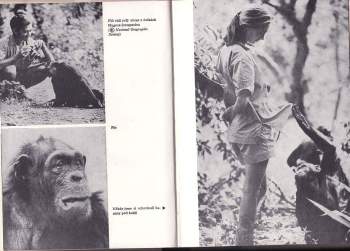 Jane Goodall: Ve stínu člověka