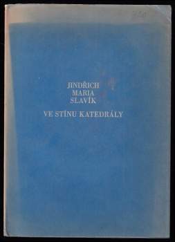 Ve stínu katedrály