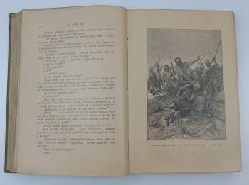 Karl May: Ve stínu palem