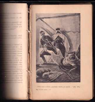 Karl May: Ve stínu palem
