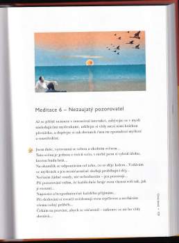 Mike George: Ve světle meditace