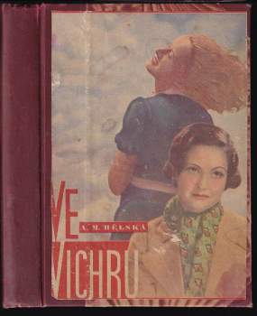 Ve vichru