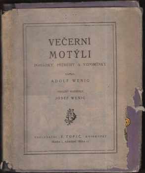 Večerní motýli
