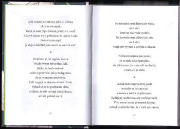 Hjemin: Věci, které uvidíte, jen když zpomalíte