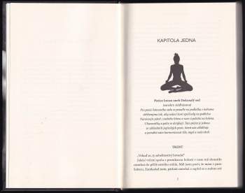 Audrey Carlan: Věčná vášeň