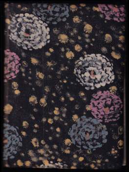 Jan Petrák: Věčné světlo