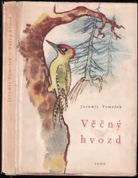 Věčný hvozd