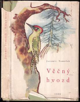 Jaromír Tomeček: Věčný hvozd