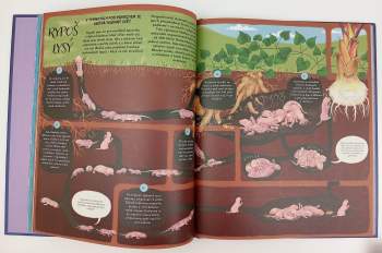 Gabby Dawnay: Věčný koloběh naší matky přírody