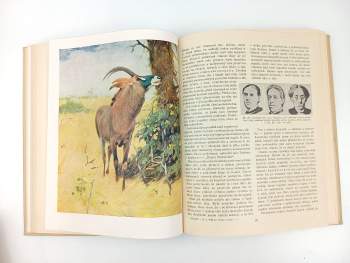 H. G Wells: Věda o životě