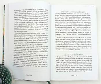 Luis Eduardo Luna: Vegetalismo