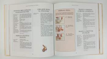 Sarah Brown: Vegetariánská kuchyně