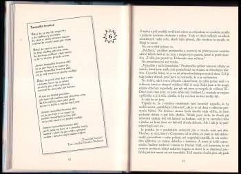 Meg Cabot: Velikost L znovu na scéně