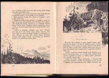 Nikolaj Apollonovič Bajkov: Veliký Van