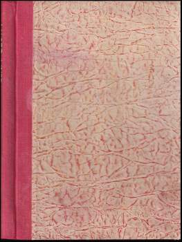 Josef Hons: Velká cesta