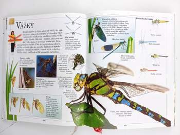 Velká dětská encyklopedie